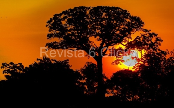 R6C-ViagemBarcoTefe-21-3